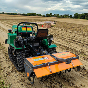 Tractor Agrícola de Ruedas Usado con 25/35 hp a Diésel, 4x4 Automático, Mini Tractor con Potencia Nominal - Product Image 2
