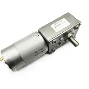 Bringsamrt A58SW-555 24V D-As Aangepaste As Tandwielmotoren Zelfsluitende Hoge Koppel 12Volt Dc Worm Metalen Micro Mini Motor