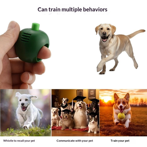 Golosinas de Entrenamiento para Mascotas con Forma de Manzana, Empaquetado en Blister, OEM ODM de Petbuddy - Product Image 4