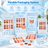 Patchs Hydrocolloïdes Personnalisés OEM ODM en Forme de Patte d'Ours Kawaii pour l'Acné, Vente en Gros pour les Marques de Beauté