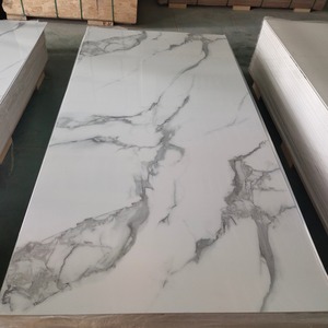 <span class=keywords><strong>Panneau</strong></span> de mur de PVC de fond de <span class=keywords><strong>TV</strong></span> <span class=keywords><strong>pour</strong></span> le béton de revêtement de mur faisant la machine - Product Image 6