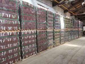 Briques murales en argile <span class=keywords><strong>rouge</strong></span>, vente en gros, pièces - Product Image 6