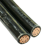 Cable de alambre THHN con camisa de nailon AWG 4 6 8 10 12 14 Cables eléctricos THHN trenzados Núcleo de aluminio de cobre Cables THWN