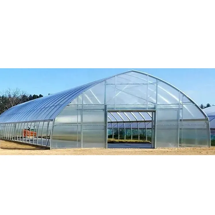 Polytunnel Enkellaags Uv Beschermd Polyethyleen Plastic Groene Huizen Voor Landbouw