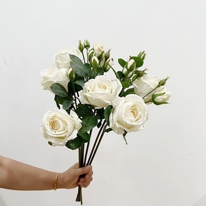 ดอกไม้ประดิษฐ์ ก้านเดี่ยวพร้อมขอบสีไหม้สไตล์วินเทจ กุหลาบเคย์ลา สำหรับจัดดอกไม้ตกแต่งและเป็นอุปกรณ์ประกอบฉากถ่ายภาพ - Product Image 4