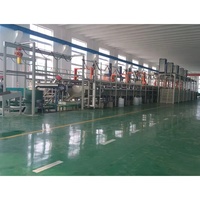 Machine de ligne d'anodisation électrochimique automatique pour verre Mifulai, robuste, contrôlée par PLC, résistante à la corrosion, à économie d'énergie