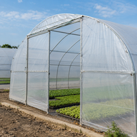 Film de serre transparent bleu personnalisé en PE, rouleau de bâche plastique, diffusion de la lumière solaire, protection UV, 40 g/m², pour culture tropicale