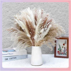 Fleurs séchées de la <span class=keywords><strong>pampa</strong></span> moelleuses Petit <span class=keywords><strong>mini</strong></span> bouquet de pampas séchées pour la décoration - Product Image 3