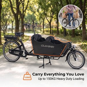 Vélo cargo électrique à trois roues de type Bakfiets néerlandais |   Vélo cargo familial <span class=keywords><strong>SHIMANO</strong></span> <span class=keywords><strong>Nexus</strong></span> <span class=keywords><strong>3</strong></span> <span class=keywords><strong>vitesses</strong></span> avec boîte en bois noire - Product Image 2