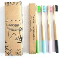 Brosse à dents en bambou naturel, accessoire buccal de qualité supérieure à manche en bois de bambou naturel, poils souples, pour adulte