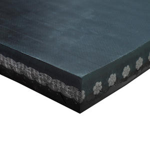 חגורת פלדה תעשייתי מסוע עבור כרייה & תחנות כוח שימוש לגילוי מתכת - Product Image 2