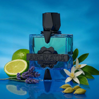 Vente en gros de parfums arabes de luxe Aromatix by Franch Avenue Extrait de Parfum 100ml, parfum pour hommes arabes de haute qualité