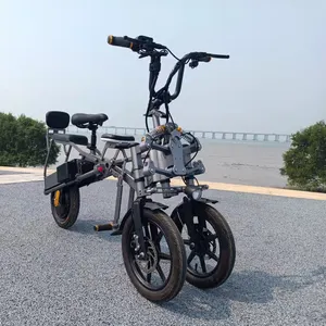 ترقية 14 ''دراجة ثلاثية العجلات الكهربائية 500W 48V المزدوج البطارية للطي الدراجة 3 عجلة الدراجات البخارية 2 مقعد الدراجة ذات العجلات الثلاث