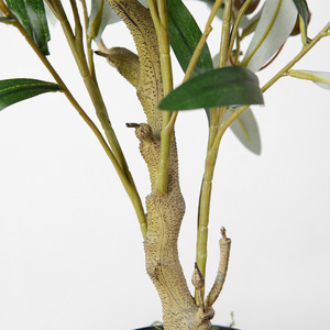 Simulación Avanzada Olivo Jardín Hotel <span class=keywords><strong>Restaurante</strong></span> Decorado con Plantas Verdes en Maceta - Product Image 4