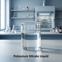 Silicate de potassium raffiné professionnel CAS 1312-76-1 pour agent auxiliaire de coloration et agent de dispersion de pigments