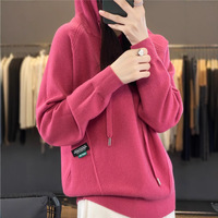 Sweat-shirt en tricot à capuche à la mode pour femmes 24 veste coupe ample populaire pour le printemps automne hiver avec techniques imprimées à la conception doublée