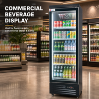 Congélateur vertical commercial personnalisé, style monotempérature, design fin, équipement de réfrigération directe pour la présentation de boissons