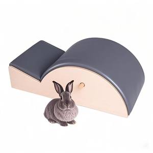 Correcteur <span class=keywords><strong>de</strong></span> <span class=keywords><strong>posture</strong></span> en bois <span class=keywords><strong>de</strong></span> chêne classique pour Pilates, équipement d'entraînement du dos pour <span class=keywords><strong>la</strong></span> maison, le studio et <span class=keywords><strong>la</strong></span> salle <span class=keywords><strong>de</strong></span> sport - Product Image 4