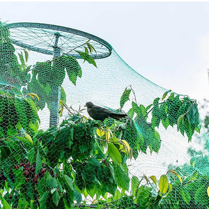 Filet anti-oiseaux en HDPE extrudé, longue durée de vie, pour arbres fruitiers (citronniers) et protection contre les chauves-souris, les oiseaux et les colombes - Product Image 1