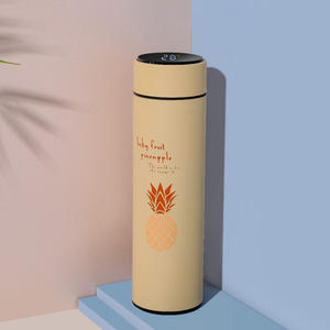 Botella de Agua Moderna de Acero Inoxidable de 500 ml con Pantalla Digital de Temperatura, Aislamiento Térmico de 6 a 12 Horas, Termo con Aislamiento al Vacío 304 - Product Image 5