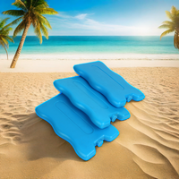 Usine En Gros De Qualité Alimentaire Isolé Refroidisseur Brique De Glace Gel Thermique Pack de Glace pour Enfants Sacs À Lunch