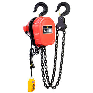 2 Ton rantai listrik <span class=keywords><strong>Hoist</strong></span> Crane dengan Remote Control 220v tegangan M5 tugas perlindungan Overload untuk pabrik industri - Product Image 1