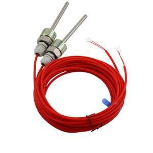 RTD Duplex pt1000 cảm biến nhiệt độ đôi PT100 cảm biến - Product Image 3