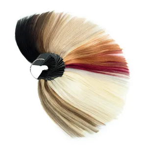 Color Chart 100% Human Hair Extensions I Tip Tape In Color Ring Hair Extensions