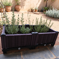 Jardinière rectangulaire surélevée en PP avec trous de drainage, auto-arrosante, légère, durable, écologique, design en osier tressé pour