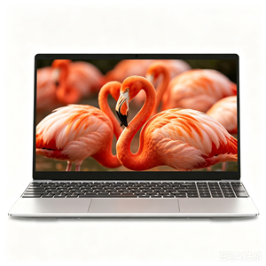 Computer Portatile 15.6" con Processore Core 3 100U, Scocca in Plastica, Display IPS 1920*1080, <span class=keywords><strong>8GB</strong></span>/16GB <span class=keywords><strong>RAM</strong></span>, 512GB SSD - Product Image 1