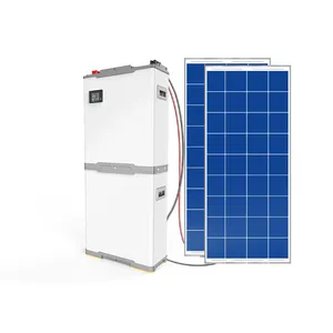 10kWh Batterie LiFePo4 Lithium Batterie 48V 200Ah mit Smart BMS für Solarenergie speicher