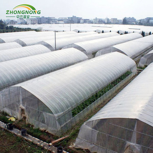 חממות חקלאיות חד-ממדיות מפלסטיק עם מערכת הידרופונית ללא אדמה מסוג NFT למכירה - Product Image 1