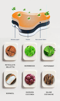 Patchs et coussinets de soulagement de la douleur à base d'herbes chinoises de haute qualité, infrarouge lointain, pour soulager les douleurs au cou