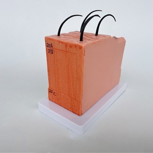 Modèle anatomique de structure du tissu cutané humain à l'échelle 30x, modèle médical esthétique en plastique tridimensionnel pour la perte de cheveux - Product Image 4