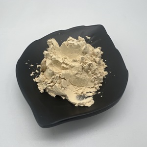 ผงโพลีแซคคาไรด์จากสารสกัดออริคิวลาเรีย - Product Image 2