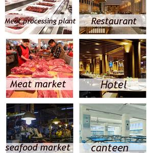 Machine à boulettes multifonctionnelle très vendue - Boulettes de viande/poisson/légumes, interrupteur anti-fuite, machine automatique de formage de boulettes - Product Image 5