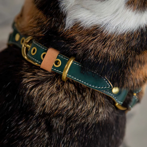 Desainer mewah kustom tali anjing kulit asli Harness hewan peliharaan mewah koleksi pribadi produksi termasuk hewan peliharaan lainnya - Product Image 3