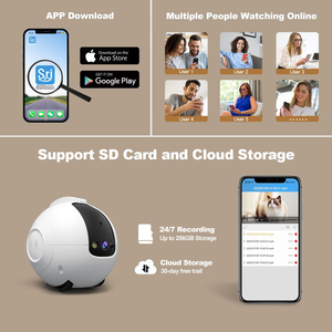 <span class=keywords><strong>2025</strong></span> Trend ing Wireless Control Bewegliche 4MP Monitor Überwachungs kamera Pet Companion Smart Robot - Product Image 5