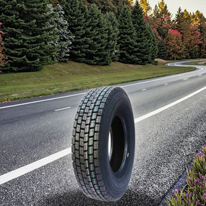 Pneu de camion Sailun 315/70R22.5 radial pour remplacement usage intensif - Product Image 3