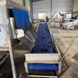 สายพานตาข่ายสำหรับทำความสะอาดและหั่นมันม่วง พร้อมเครื่องอบแห้งมันม่วงแบบลูกเต๋า - Product Image 2