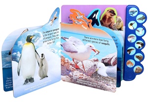 Splash with the Sharks Libros de sonido de 10 botones para que los niños aprendan los sonidos de los animales marinos - Product Image 3