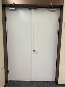 Puerta Cortafuego de Acero con Certificación UL, Fabricada en China, Puerta Doble Resistente al Fuego con Cierrapuertas para Contratistas de Proyectos Hoteleros - Product Image 3