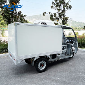 Tricycle Congélateur à Crème Glacée Solaire Essence/Électrique à Porte Arrière - Product Image 3