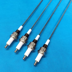 Électrode <span class=keywords><strong>d</strong></span>'<span class=keywords><strong>allumage</strong></span> de chaudière en céramique, tige en céramique résistante à l'usure, filetage NPT 1/4 personnalisé - Product Image 3