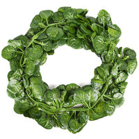 Feuilles de Pothos artificielles, fausses fleurs, guirlandes murales, fleurs en plastique, feuilles de patate douce, feuilles de bégonia, feuilles de vigne, 2,4 m