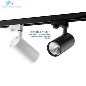 Commercial Aluminum Rail 360 Angle Adjustable Tracklight COB Focus Spot Lamp Shop 10W 20W 30W LED Track Light