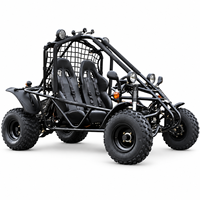 Kart tout-terrain personnalisable, robuste, 200cc, 2 places, 60 km/h, suspension indépendante, pour aventures en plein air