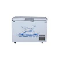 congélateur coffre 100L - Chine Congélateur et congélateur à température  unique prix