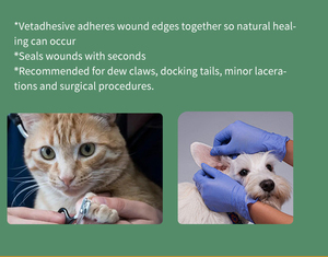 <span class=keywords><strong>Colle</strong></span> médicale vétérinaire pour animaux <span class=keywords><strong>de</strong></span> compagnie, adhésif cutané pour tissus, adhésif médical <span class=keywords><strong>de</strong></span> qualité supérieure, cyanoacrylate <span class=keywords><strong>de</strong></span> n-butyle - Product Image 2