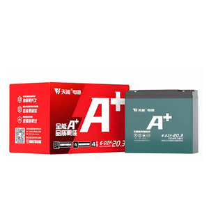 Высокоёмкий свинцово-кислотный аккумулятор Tianneng TNE12-25 12V20AH AGM для электровелосипедов/скутеров/трициклов с сертификатами CE/UL - Product Image 2